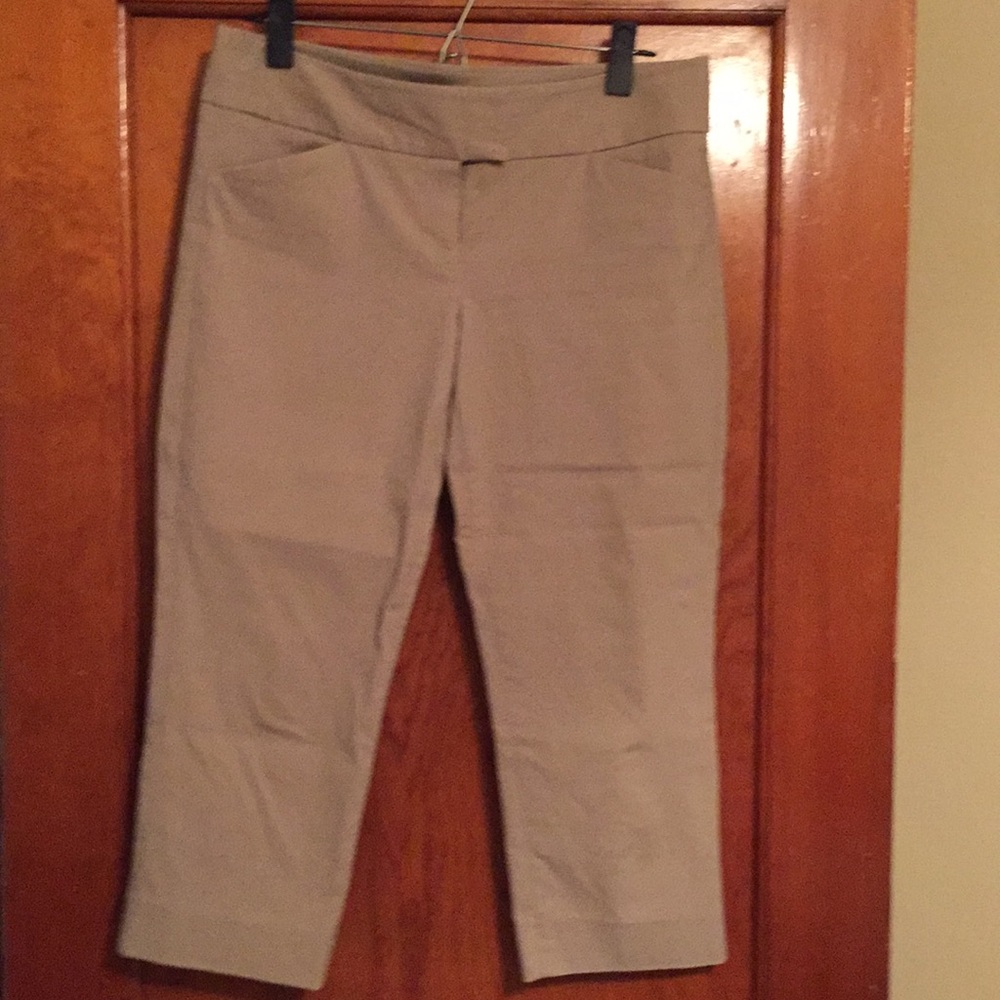 Exact Stretch Crop Pants from The Limited